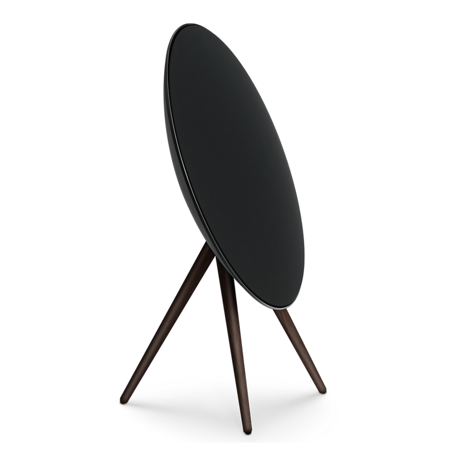 Bang & Olufsen Multi Room Audio Beosound A9 5th Generation