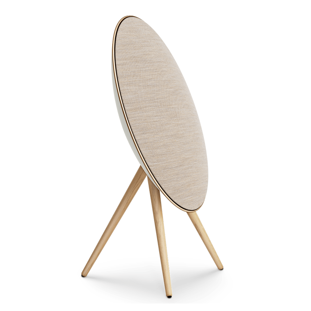 Bang & Olufsen Multi Room Audio Beosound A9 5th Generation