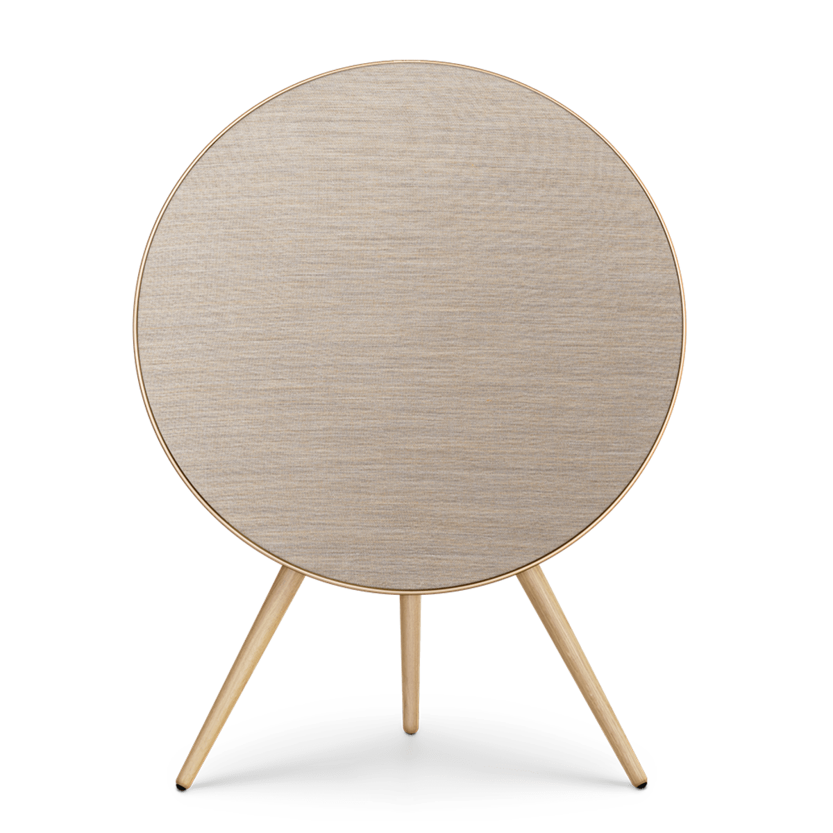 Bang & Olufsen Multi Room Audio Beosound A9 5th Generation