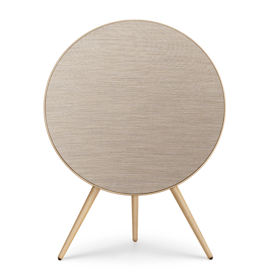 Bang & Olufsen Multi Room Audio Beosound A9 5th Generation
