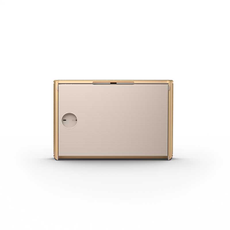 Bang & Olufsen Multi Room Audio Beosound Level