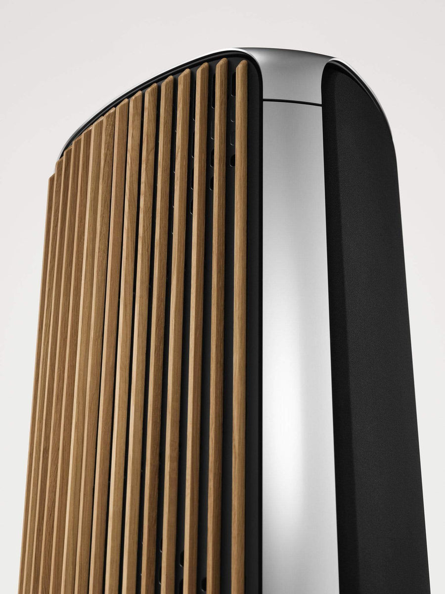 Bang & Olufsen Speakers BeoLab 50