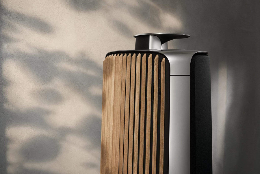 Bang & Olufsen Speakers BeoLab 50